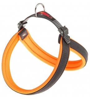 Agila Fluo 4 Chest Collar - Orange