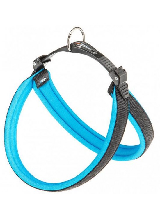 Agila Fluo 4 Chest Collar - Blue