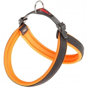 Agila Fluo 4 Chest Collar - Orange