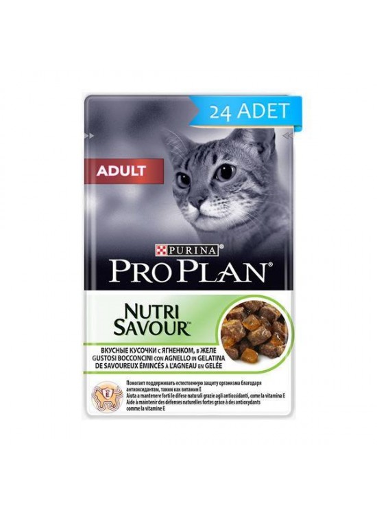 Pro Plan Hindili Pouch Yetişkin Kedi Maması 24 Adet X 85 Gr