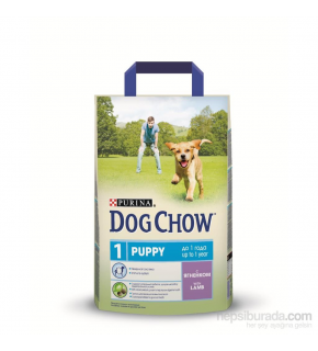 Purına Dog Chow Kuzu Etli Puppy Yavru Köpek Maması 2,5 kg