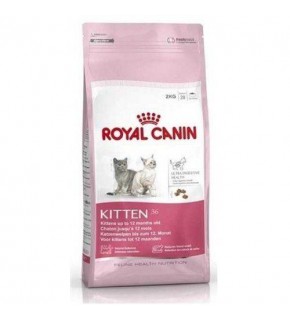 Royal Canin Kitten 36 Kittens Dry Cat Food 10 Kg