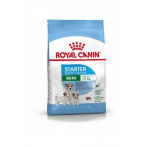 Royal Canin Mini Starter Mother and Baby Dog Mother and Puppy Food 3 Kg